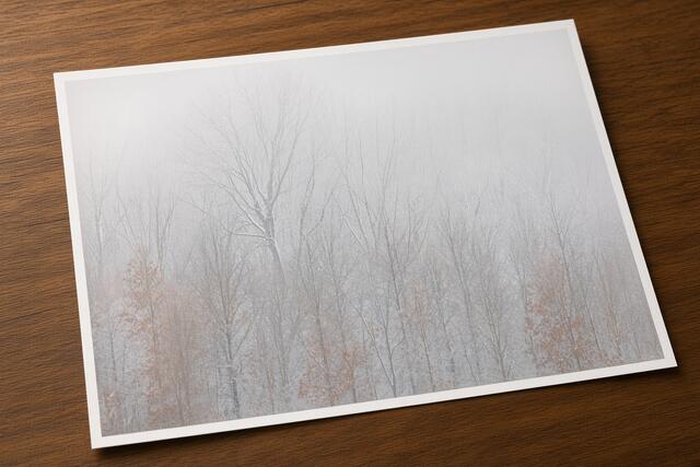  print preview